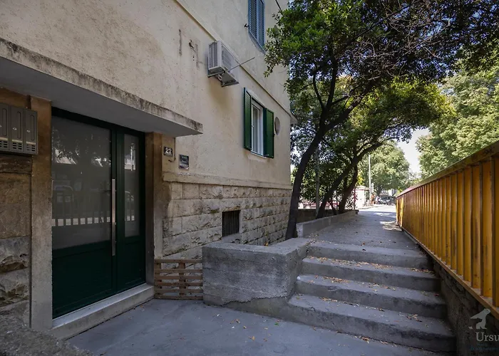 Nettle Tree * スプリト